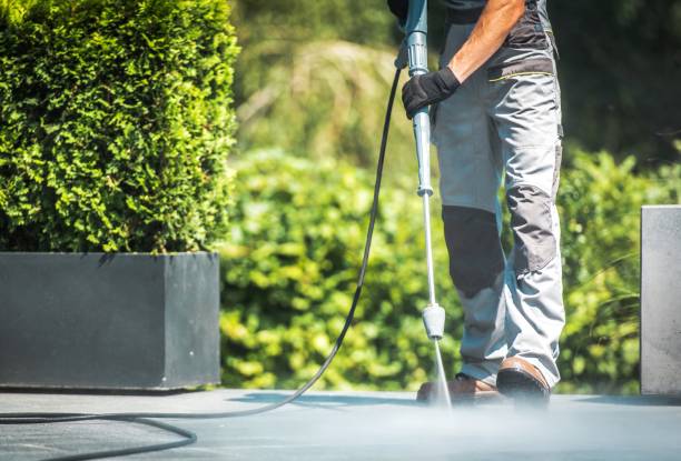 Best Patio and Deck Pressure Washing  in Richmond, TX